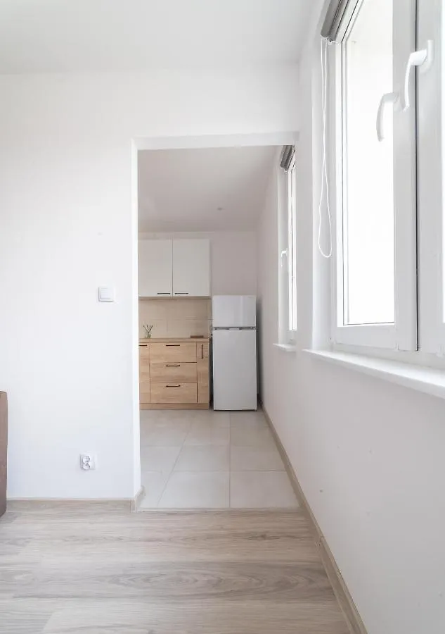 Hallera Street Apartment Gdańsk Polska